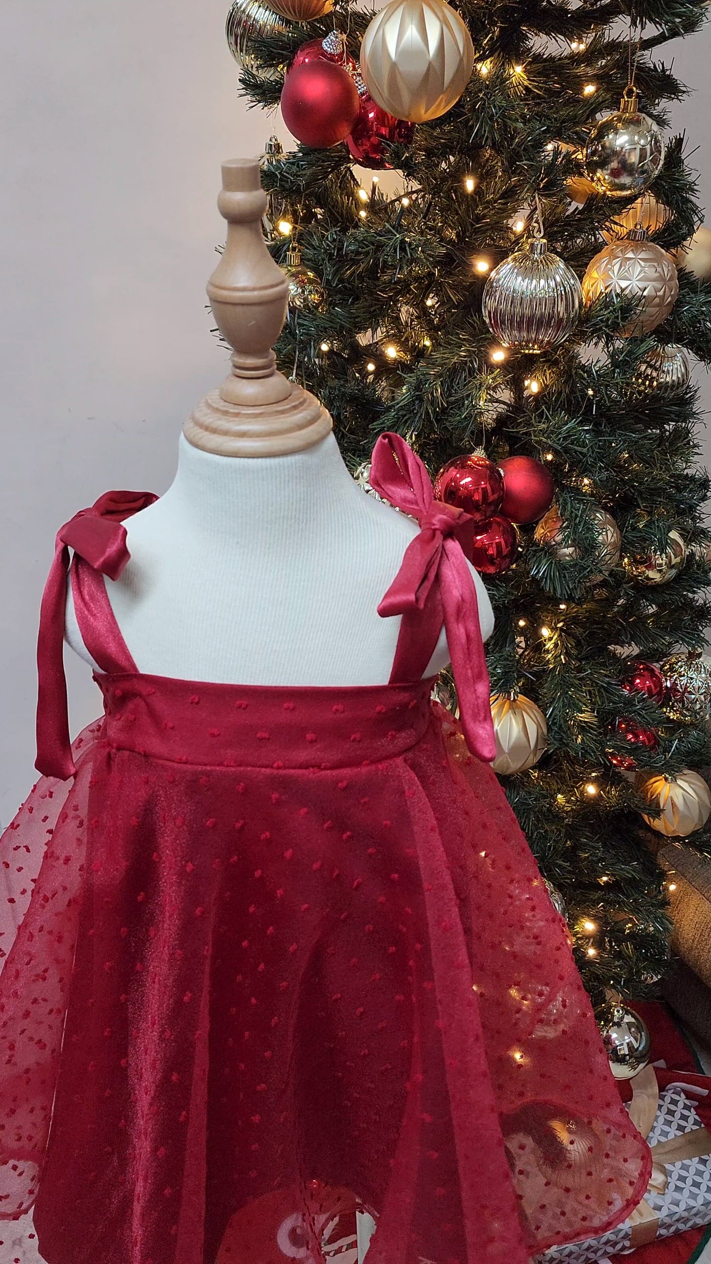 Camila Dress in Deep Red