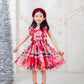 Luxe Aurora Dress