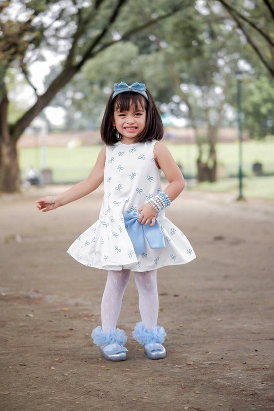PREORDER Harper Dress in Blue Coquette (shipping in 1 to 2 weeks)