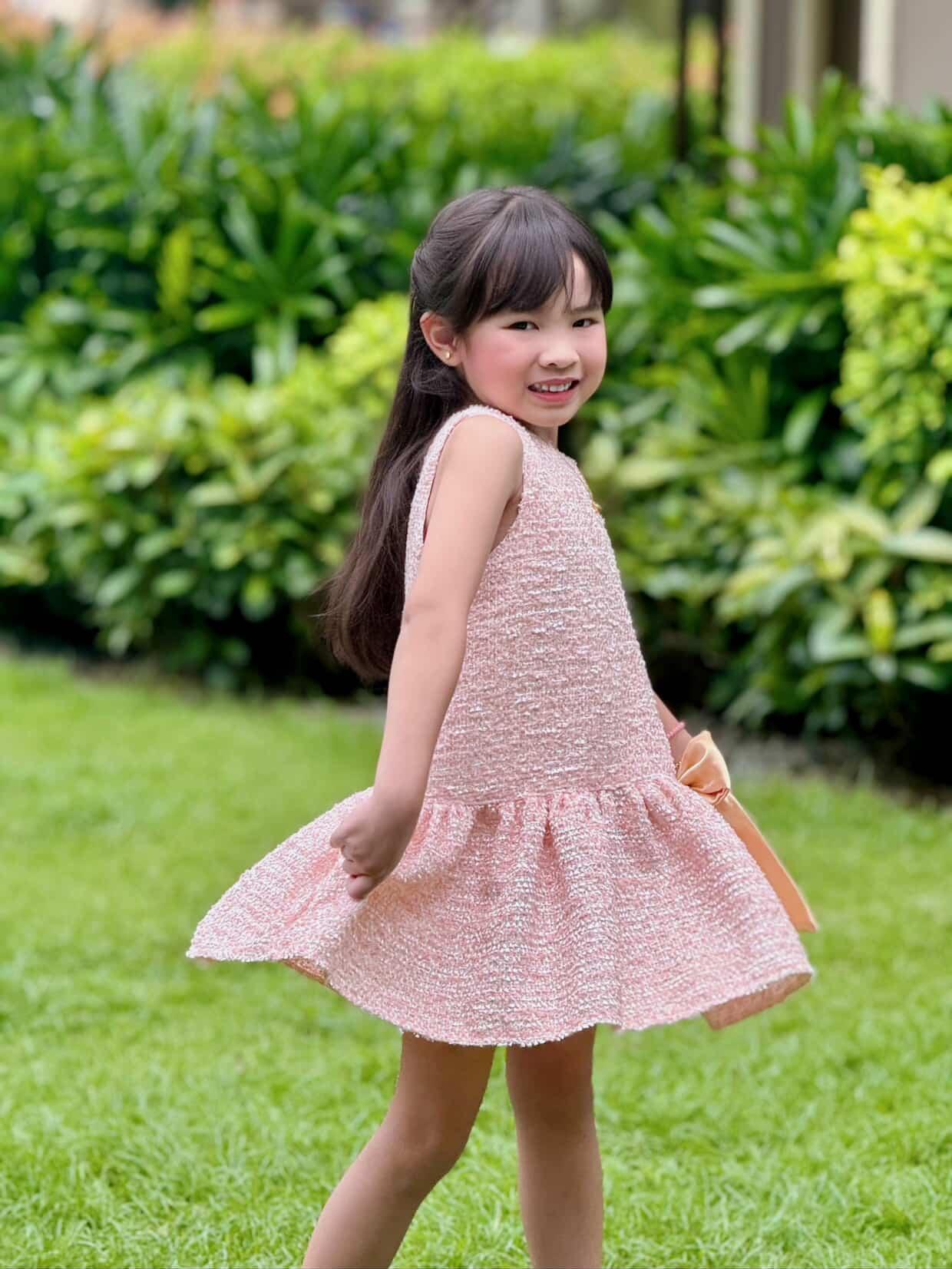 Tweed Harper Dress in Blush