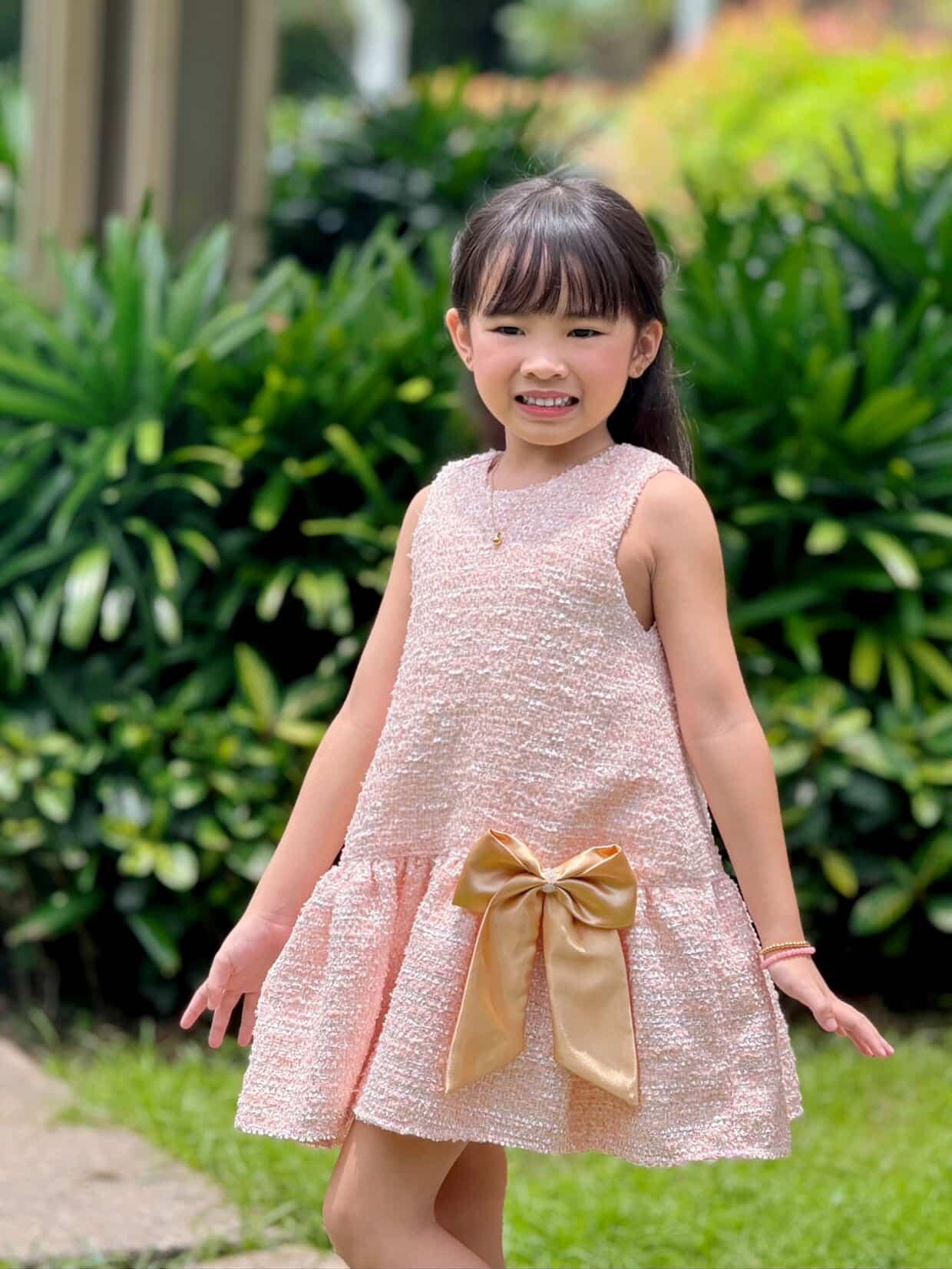 Tweed Harper Dress in Blush