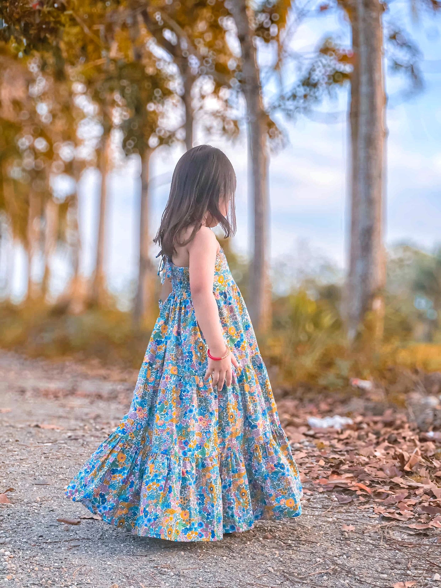 Denise Dress in Blue Meadow